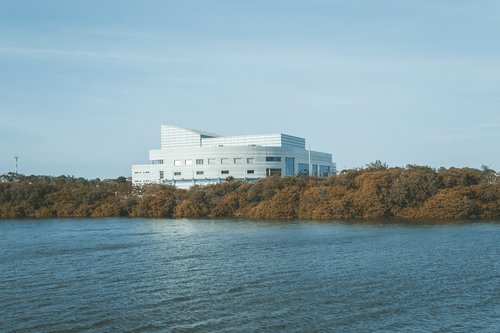 tampico  mexico  laguna