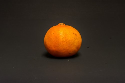 tangerine  vintage  nature