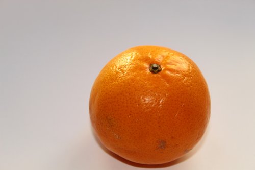 tangerine  citrus  fruit