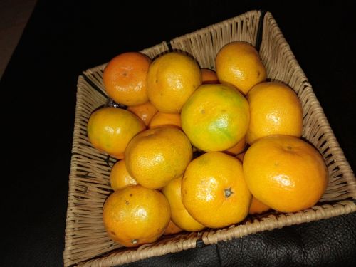 tangerine joe saenggyul citrus