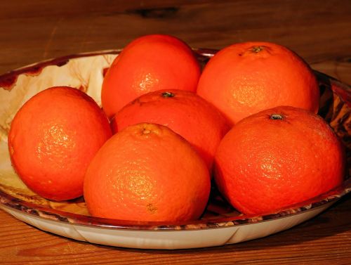 tangerines christmas plate orange