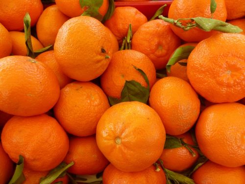 tangerines orange fruit