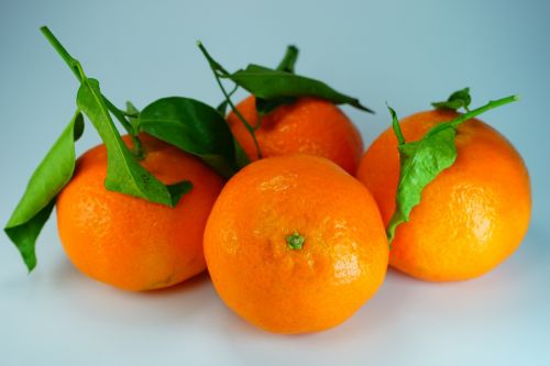 tangerines clementines oranges