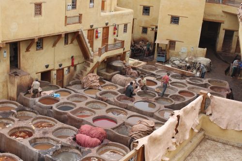 tannery morocco skins