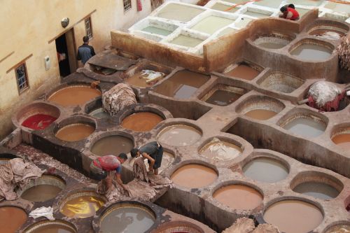 tannery morocco skins