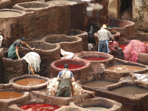 tannery leather tanning