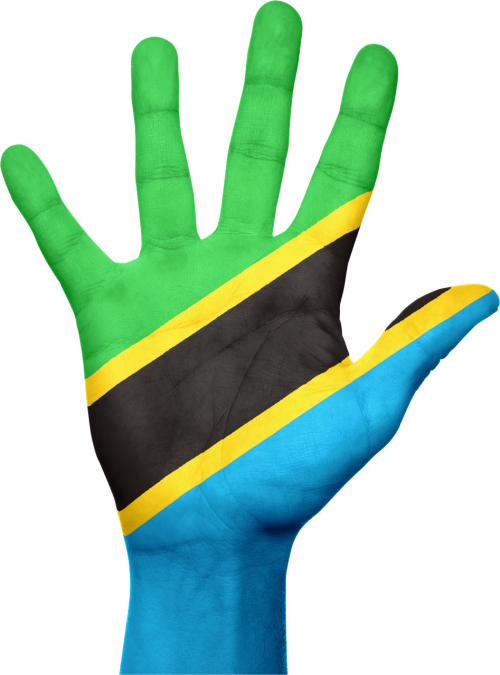 tanzania flag hand