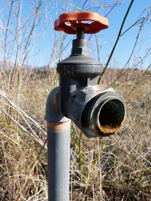 tap water irrigation