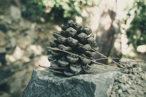 tap needle stone