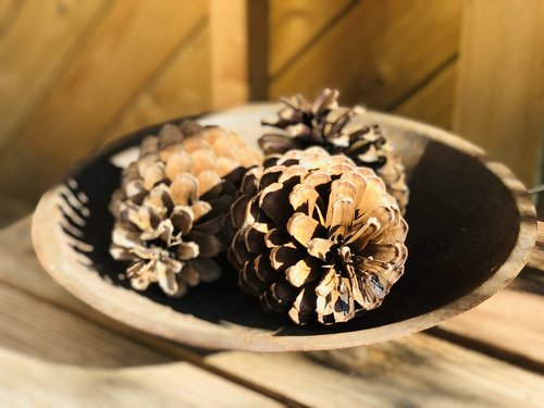 tap  decoration  pine cones
