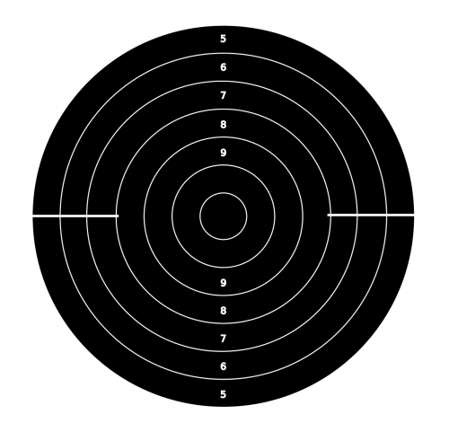 target stall shooting