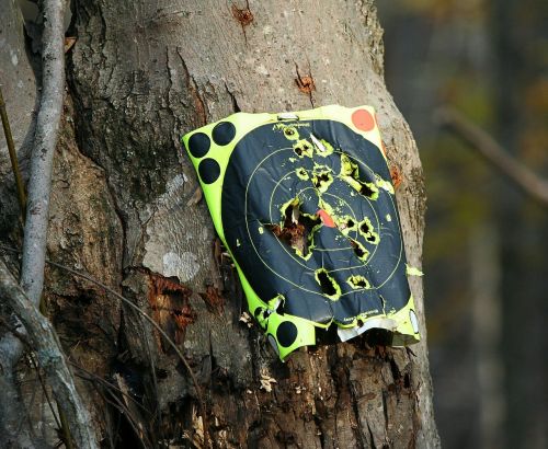 target practice bullseye shooting