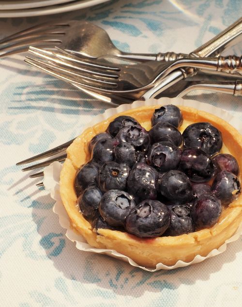 tart blueberry dessert