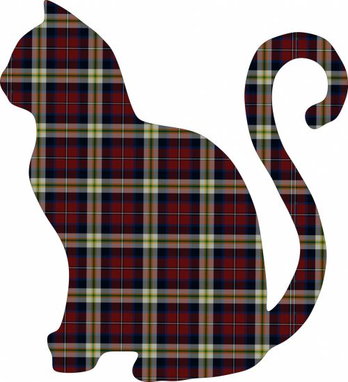 Tartan Cat