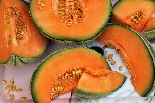 tasty  melon  orange