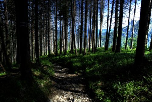 tatry poland czerwone wierchy