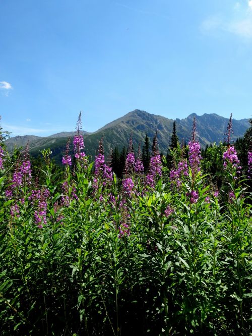 tatry poland mountains