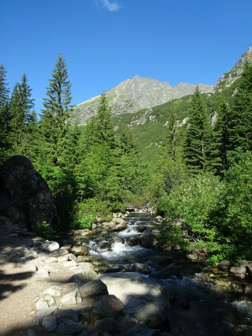 tatry mountains the high tatras