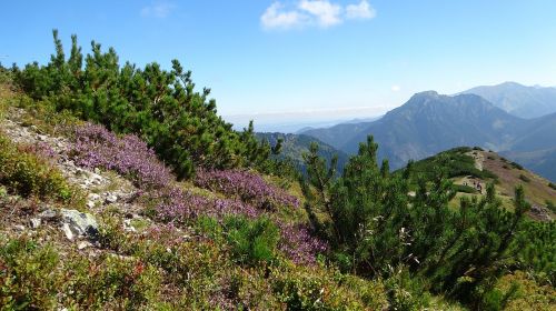 tatry mountains landscape