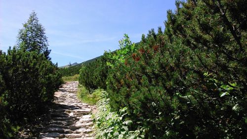 tatry mountains landscape