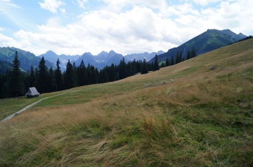 tatry nature mountains