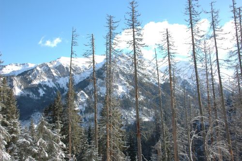 tatry winter mountains