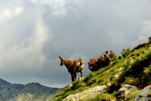 tatry slovakia landscape