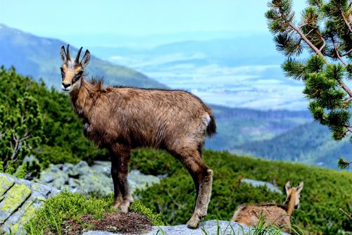 tatry slovakia landscape