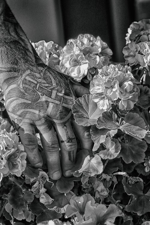 tattoo  hand  flower
