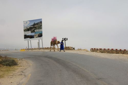 taxi camel road