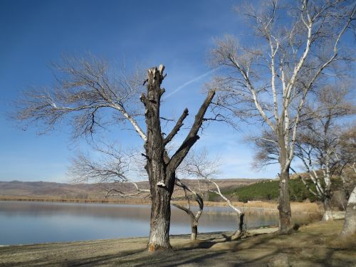 tbilisi lisi lake georgia