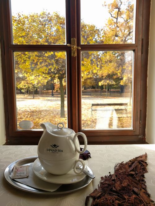 tea autumn window