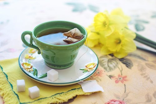 tea  morning  green