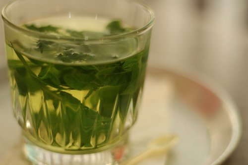tea  herbal tea  drink