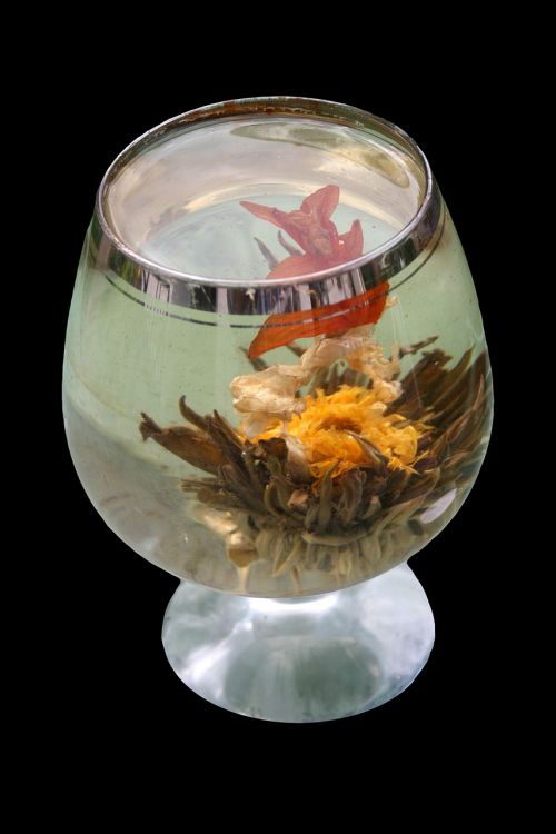 tea flower glass asia