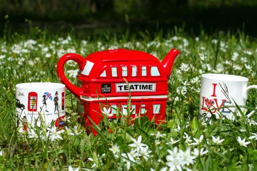 tea time outdoor cup