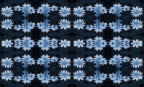 Teal Blue Daisy Pattern