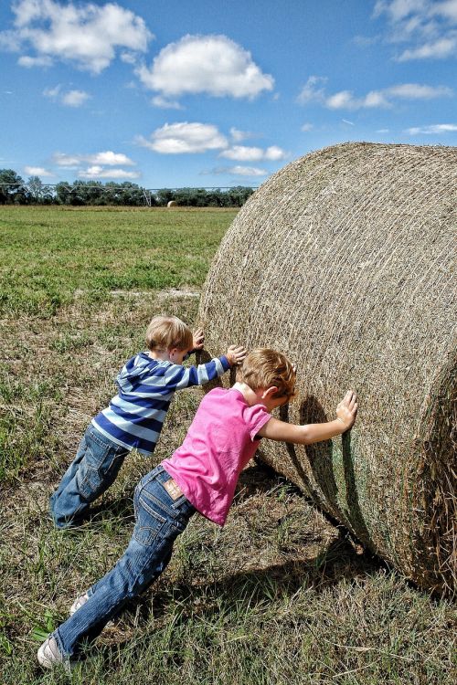 teamwork farm workers co-operation