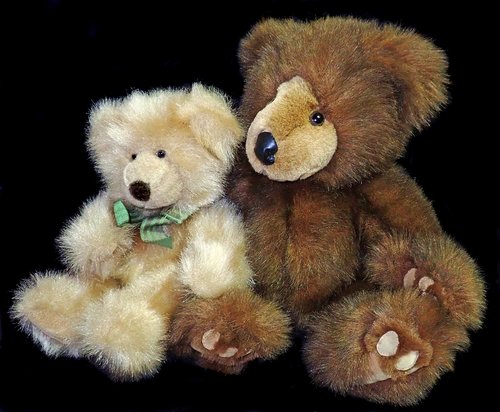 teddies  bears  fluffy