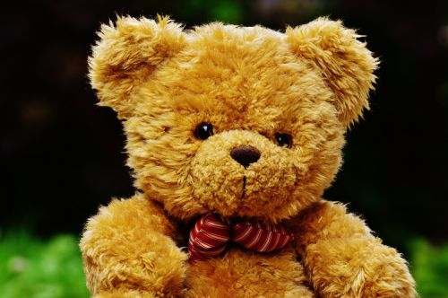 teddy plush cute