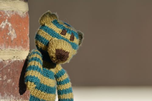 teddy teddy bear knitted