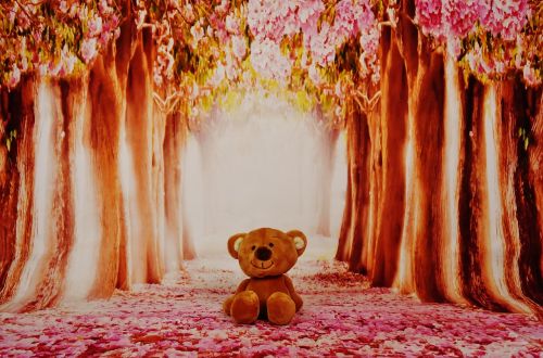 teddy forest trees