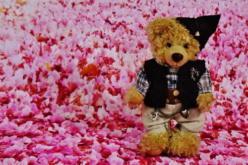 teddy costume flowers