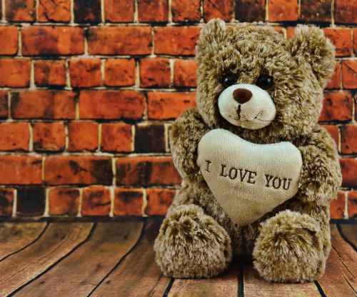 teddy valentine's day love