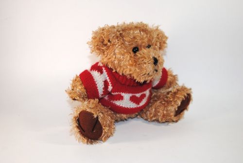 teddy gift bear