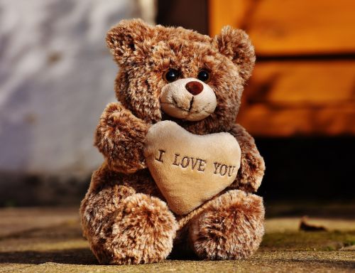 teddy love teddy bear