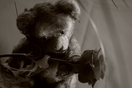 teddy rose teddy bear