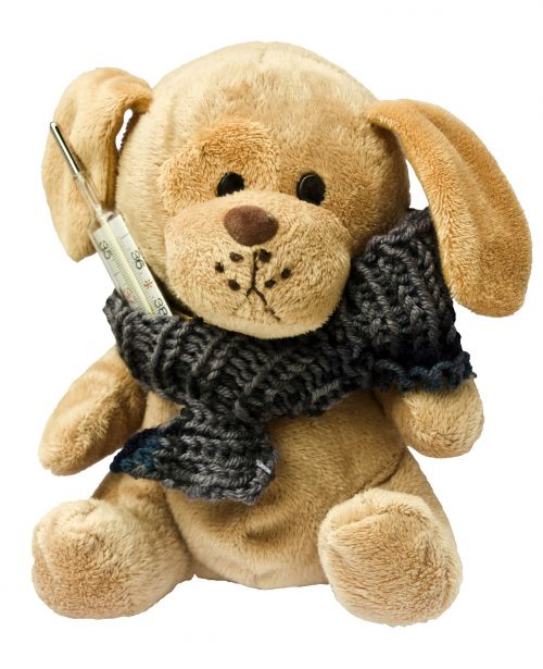 teddy dog stuffed animal