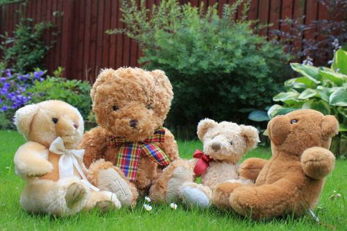 teddy bear soft toy