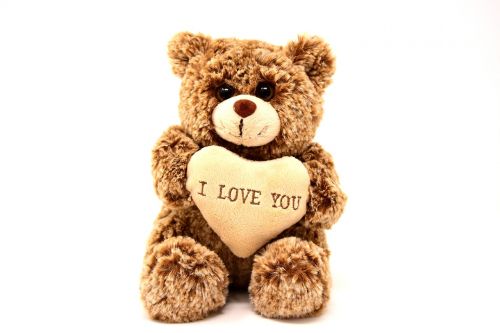 teddy love valentine's day